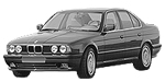 BMW E34 P0397 Fault Code